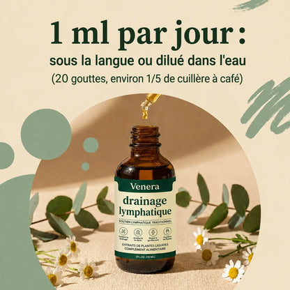 Venera - Drainage lymphatique